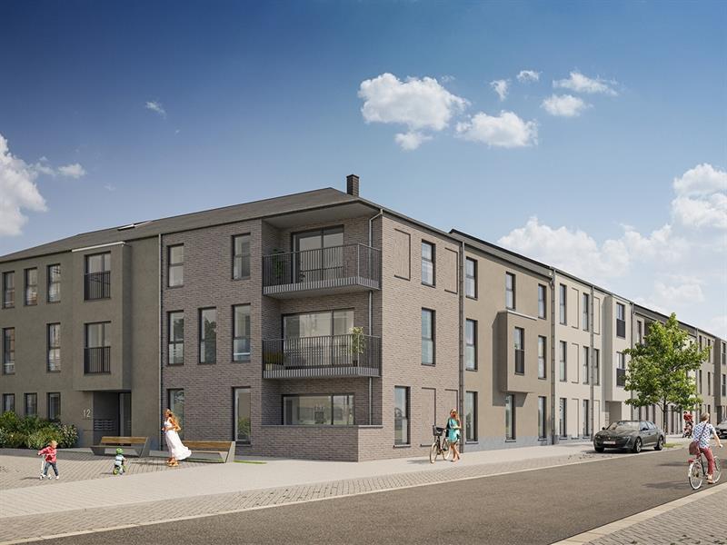 1200/09MR 012002000019/MEDIA/09MR 012002000019_1200_REF_1.jpg
